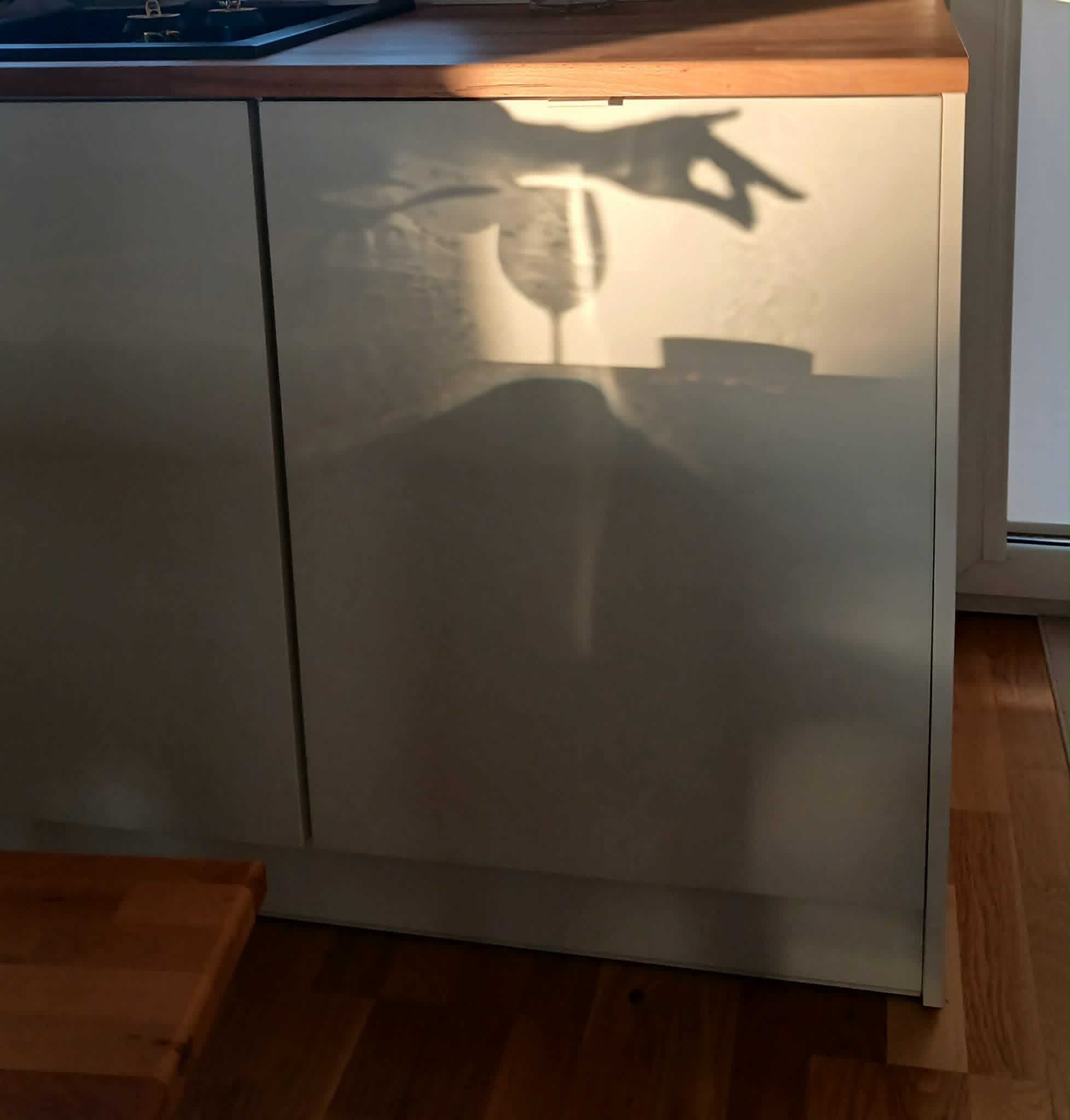 Profilová fotografie