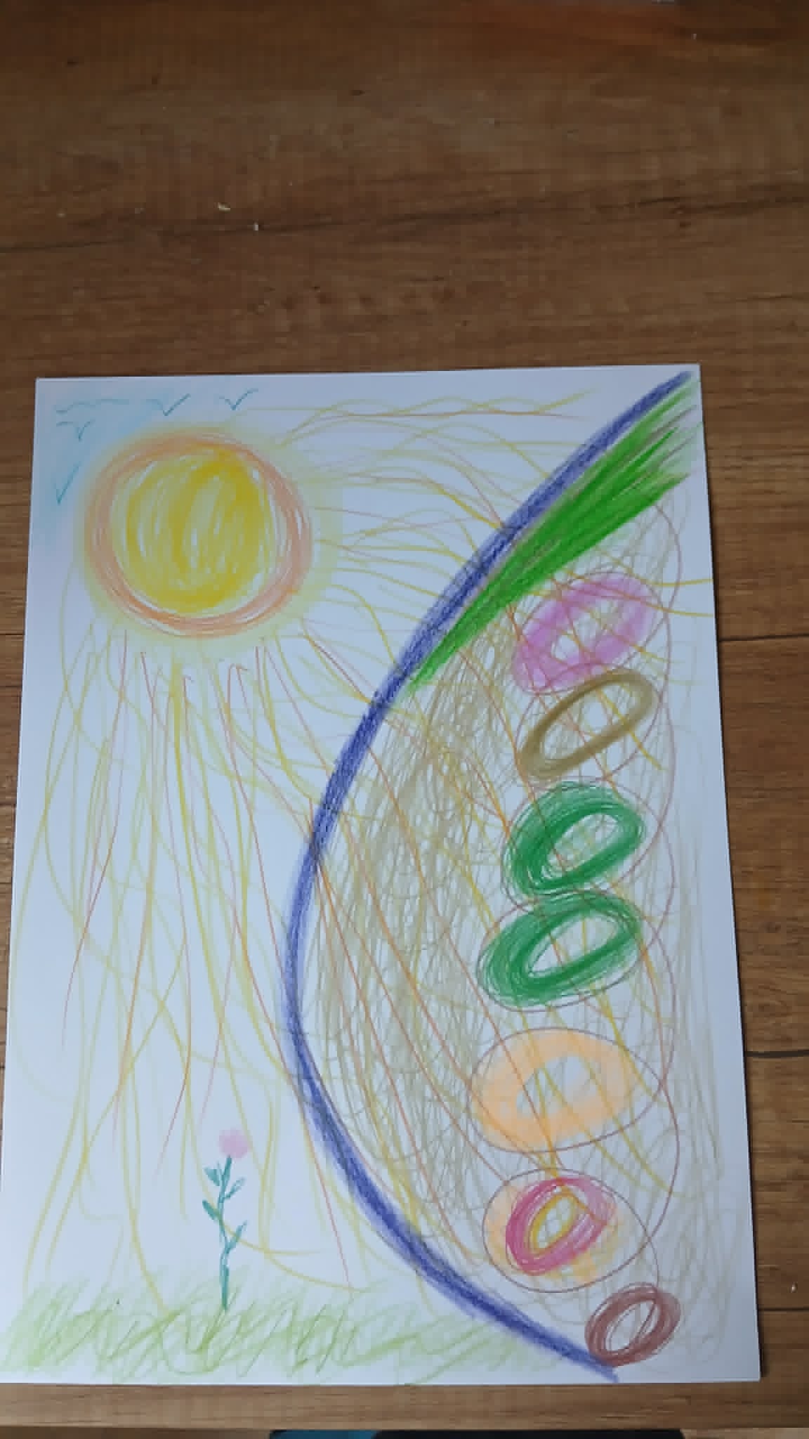 Profilová fotografie