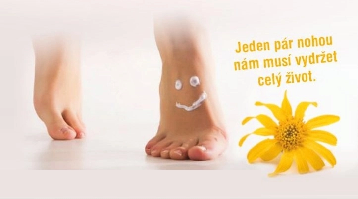 Profilová fotografie