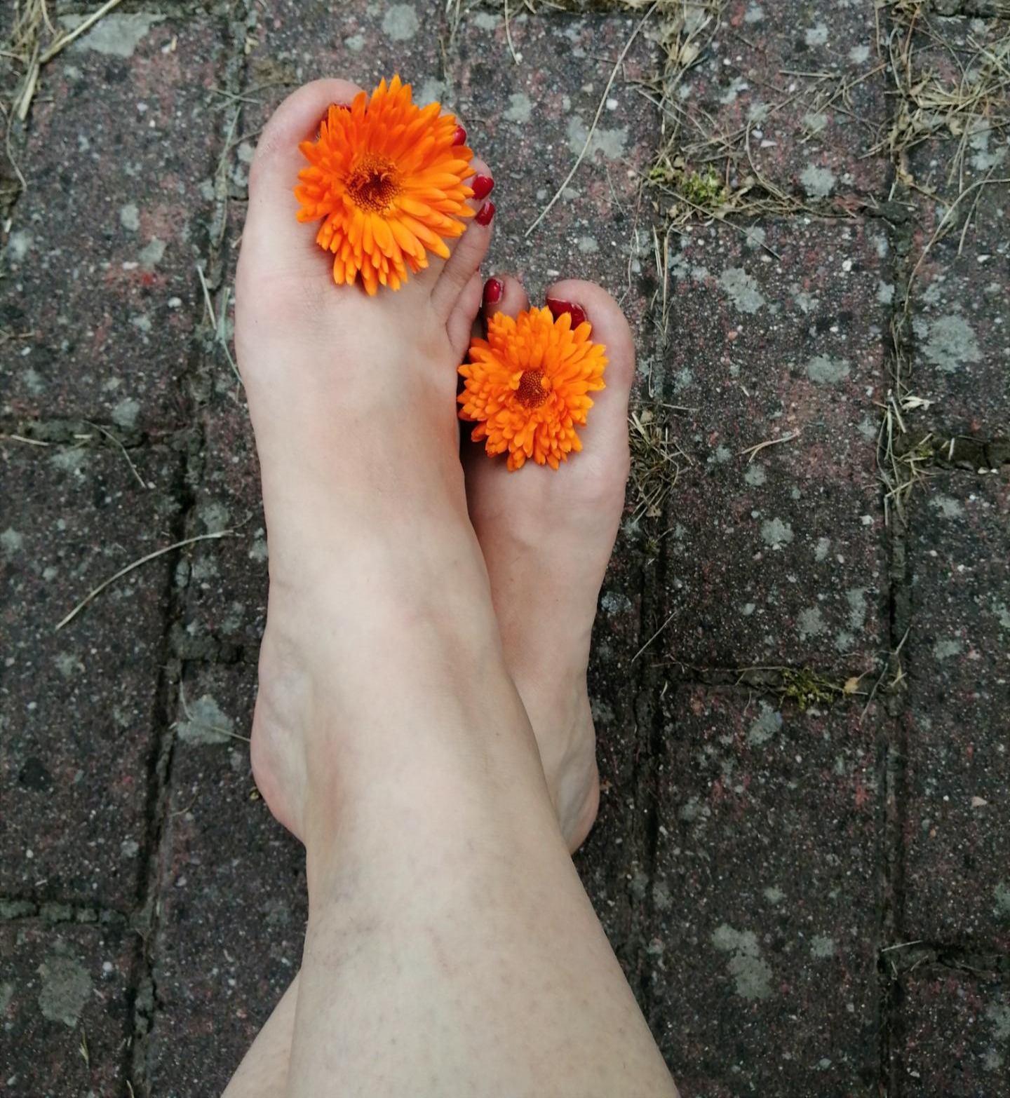 Profilová fotografie